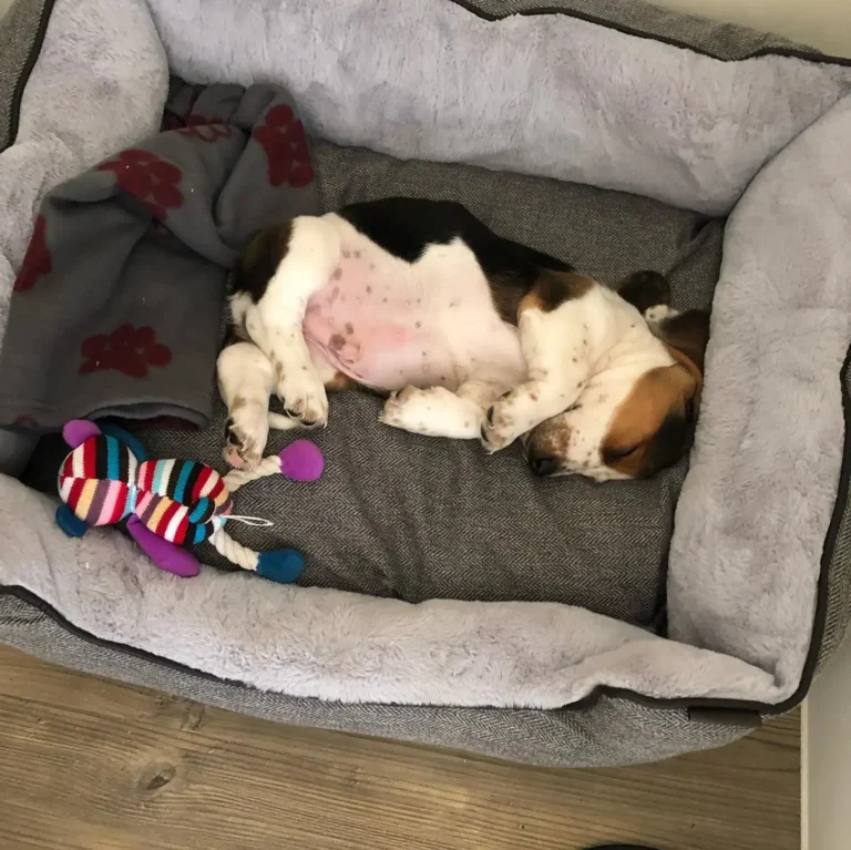 walter-1