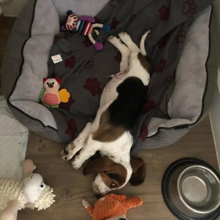 walter-2