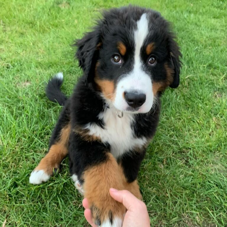 photo_1_2025-08-25_18-44-31