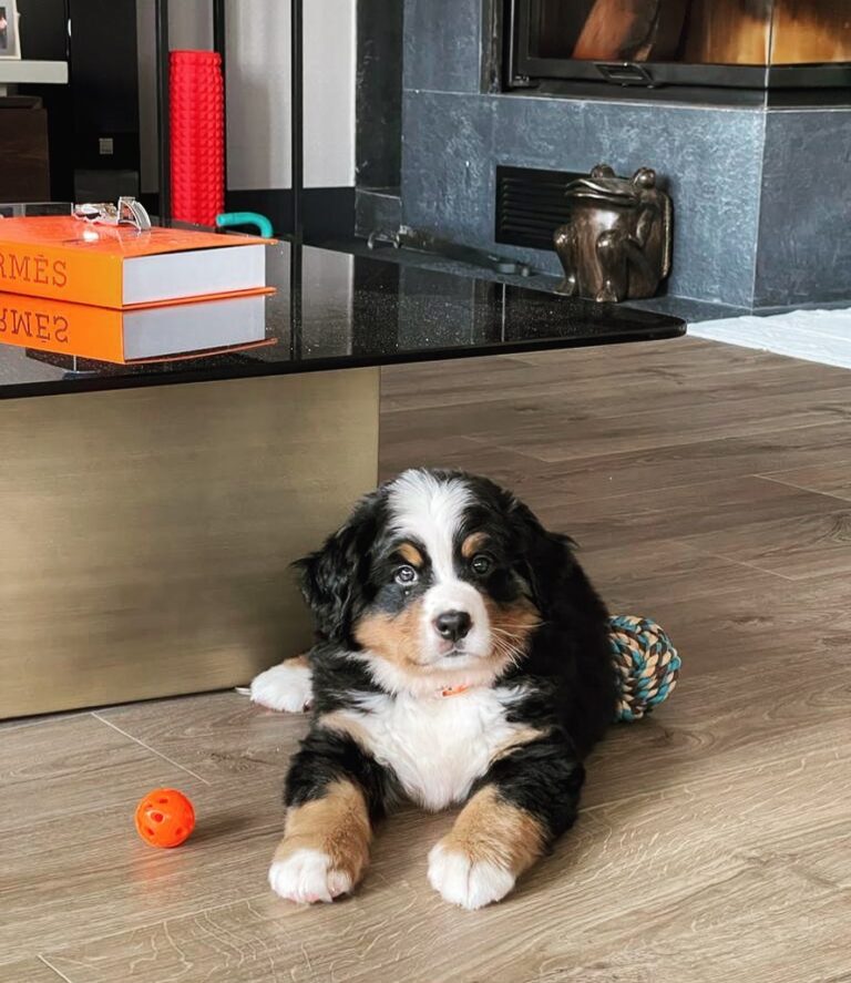 photo_1_2025-08-25_21-26-45