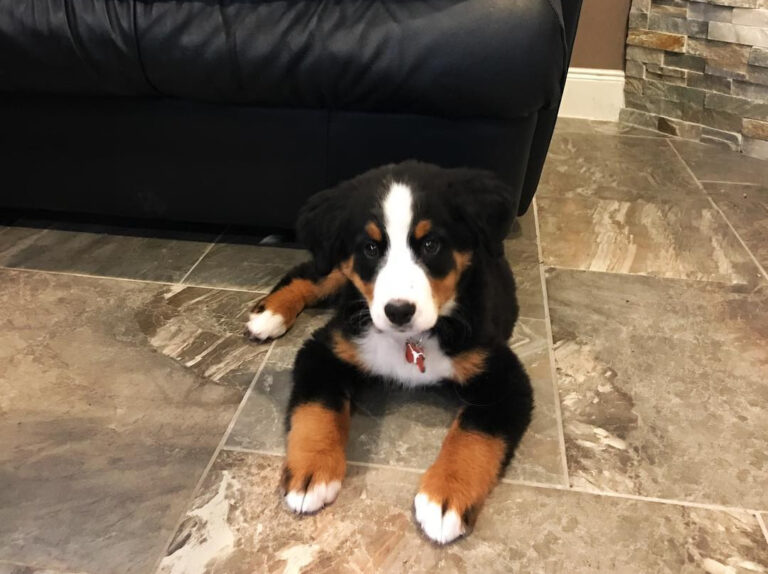 photo_2025-08-25_22-36-28