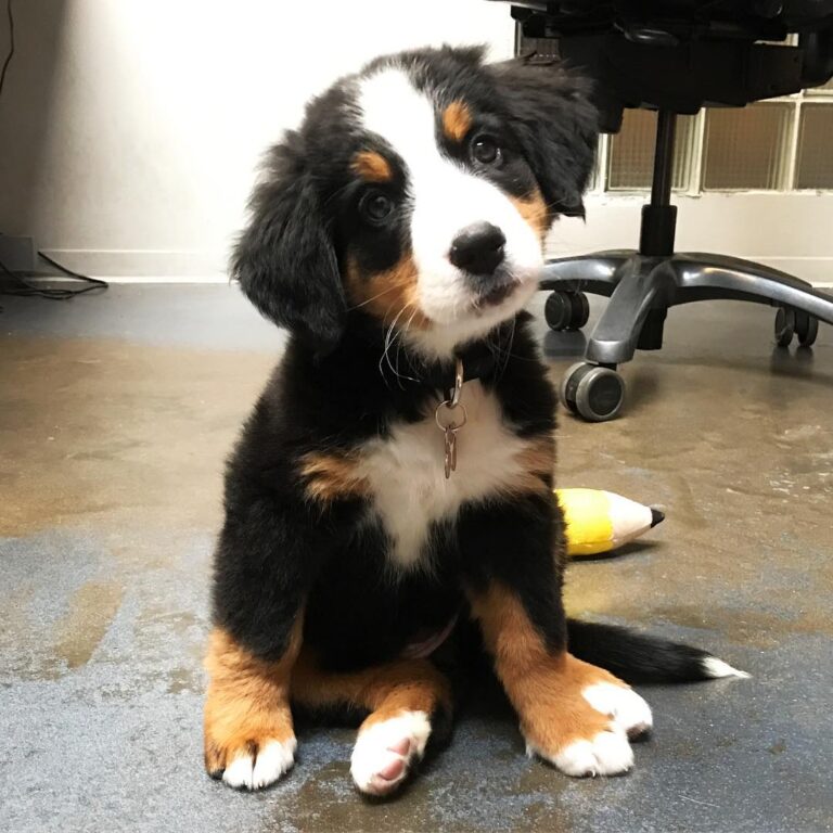 photo_2025-08-25_22-36-30