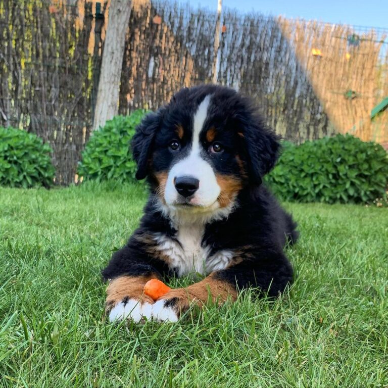 photo_2_2025-08-25_18-44-31