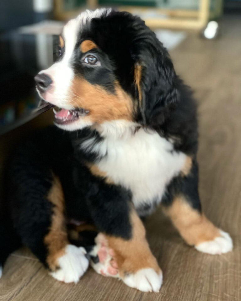 photo_2_2025-08-25_21-26-45